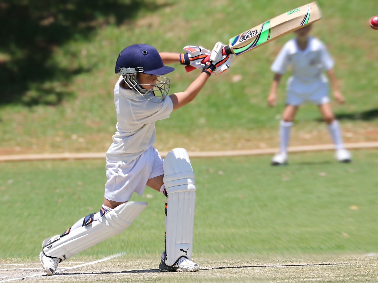 Cricket Pitch